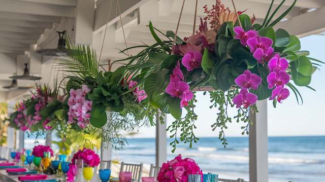 Hanging Floral Installations