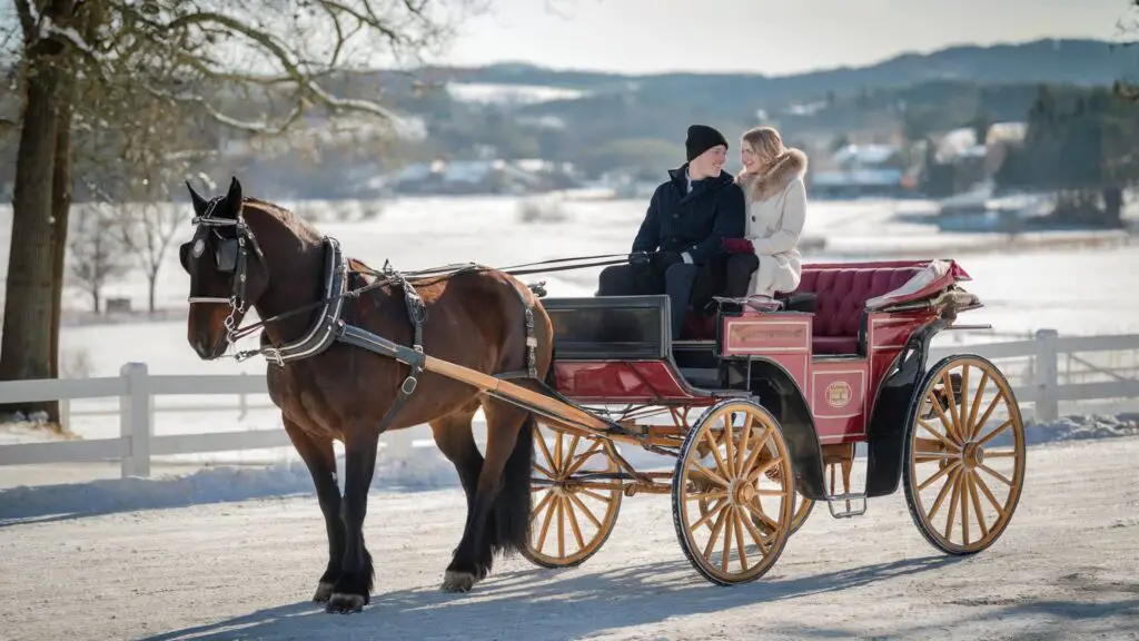 couple in Horse-Drawn Carriage