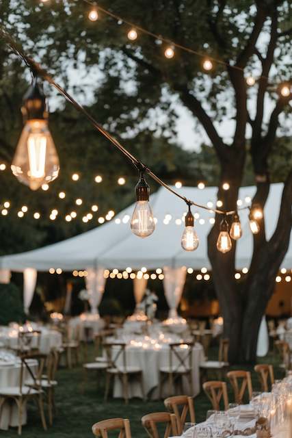 Edison Bulb String Lights