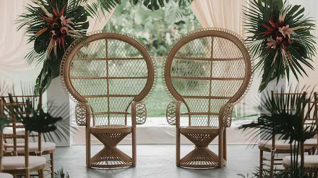 Peacock Chairs