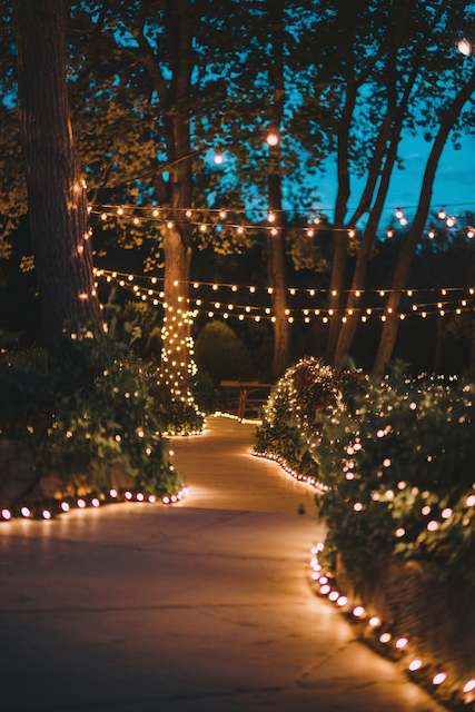 Twinkling Pathway Lights